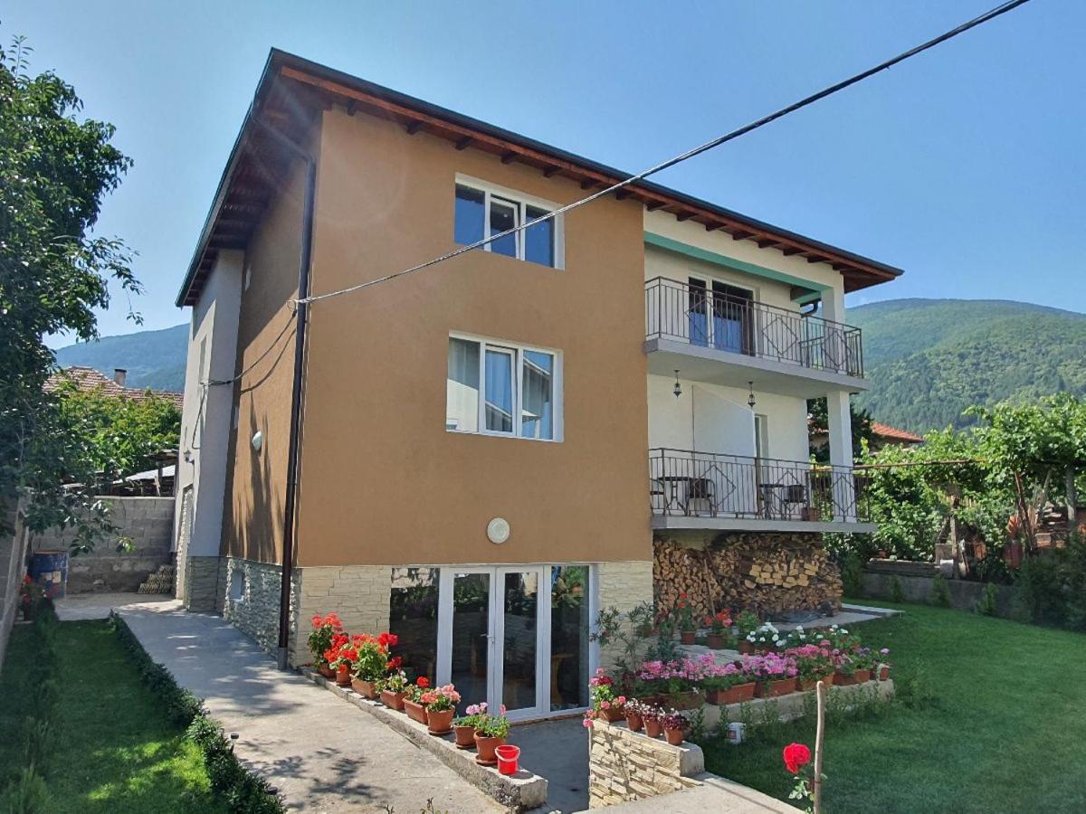 Дамяновата Къща Villa Sapareva Banya Bagian luar foto